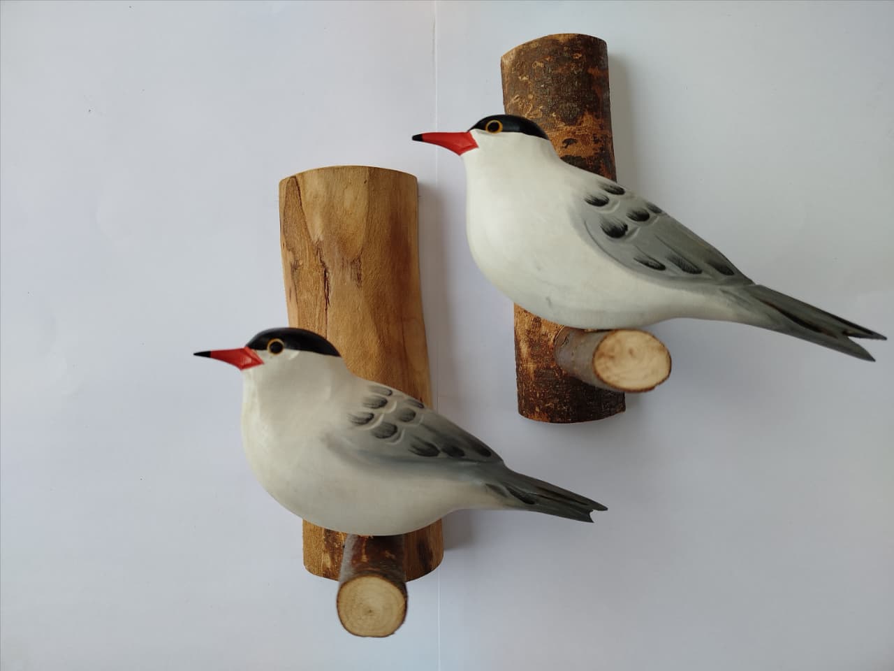 Gaviotín Sudamericano Decorativo Artesanal
