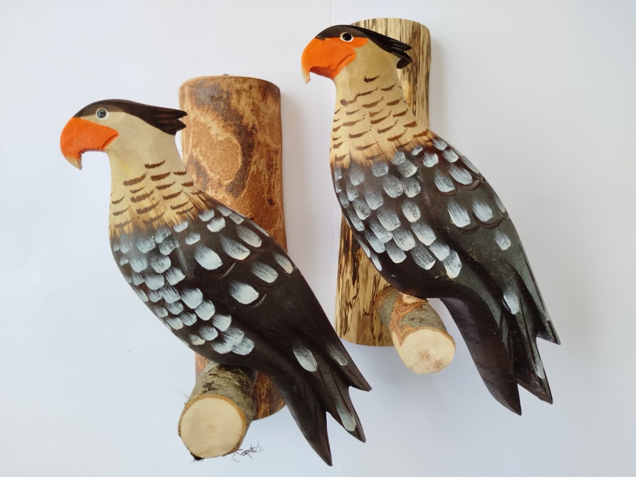 Traro (Carancho) Decorativo Artesanal