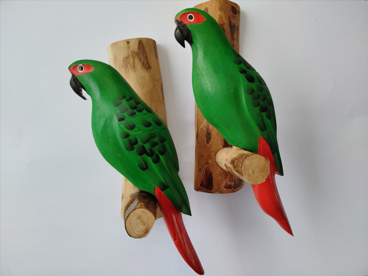 Loro Choroy Chileno Decorativo Artesanal